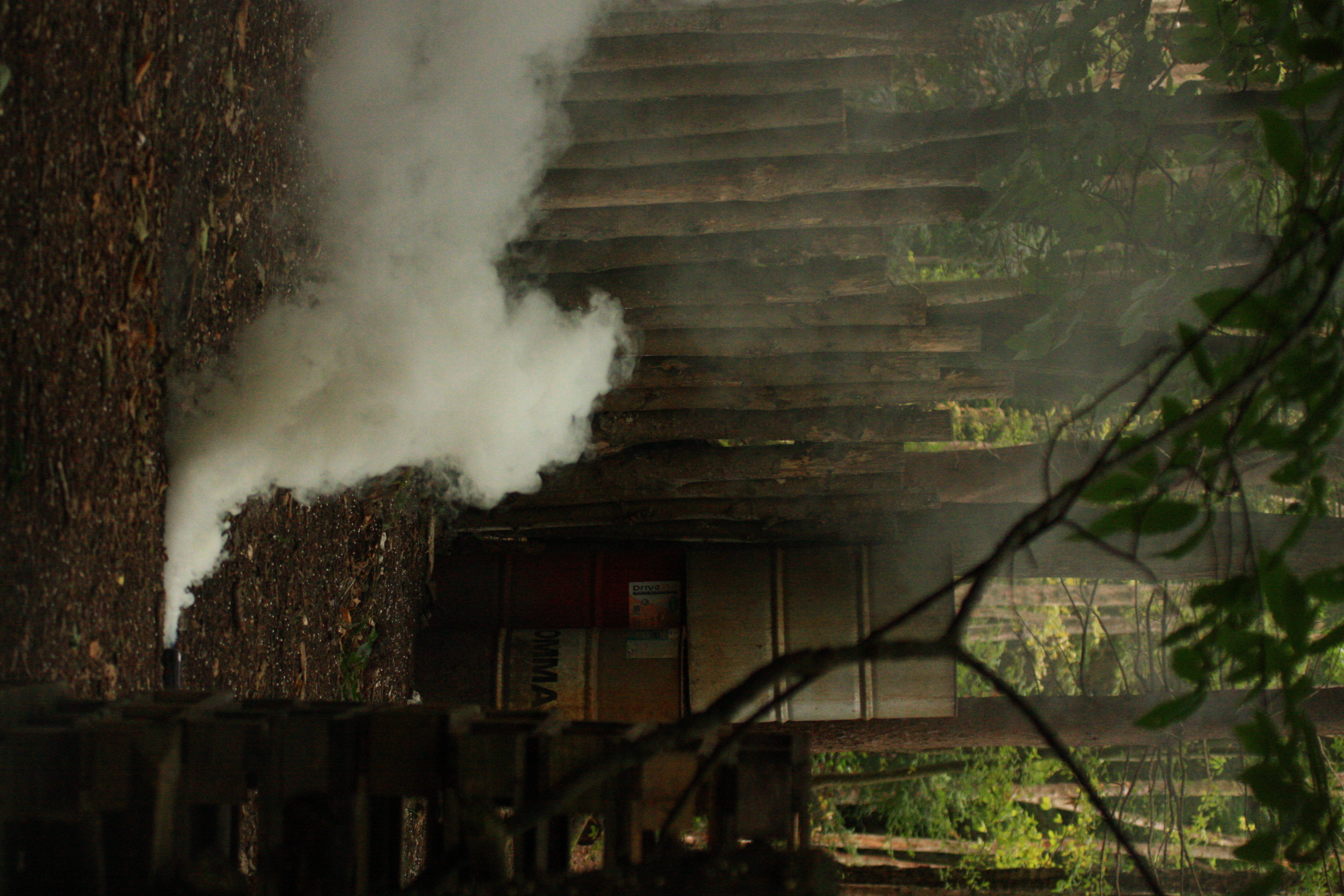 JH-photo-20260913-a9e9c82f2fcf.jpeg