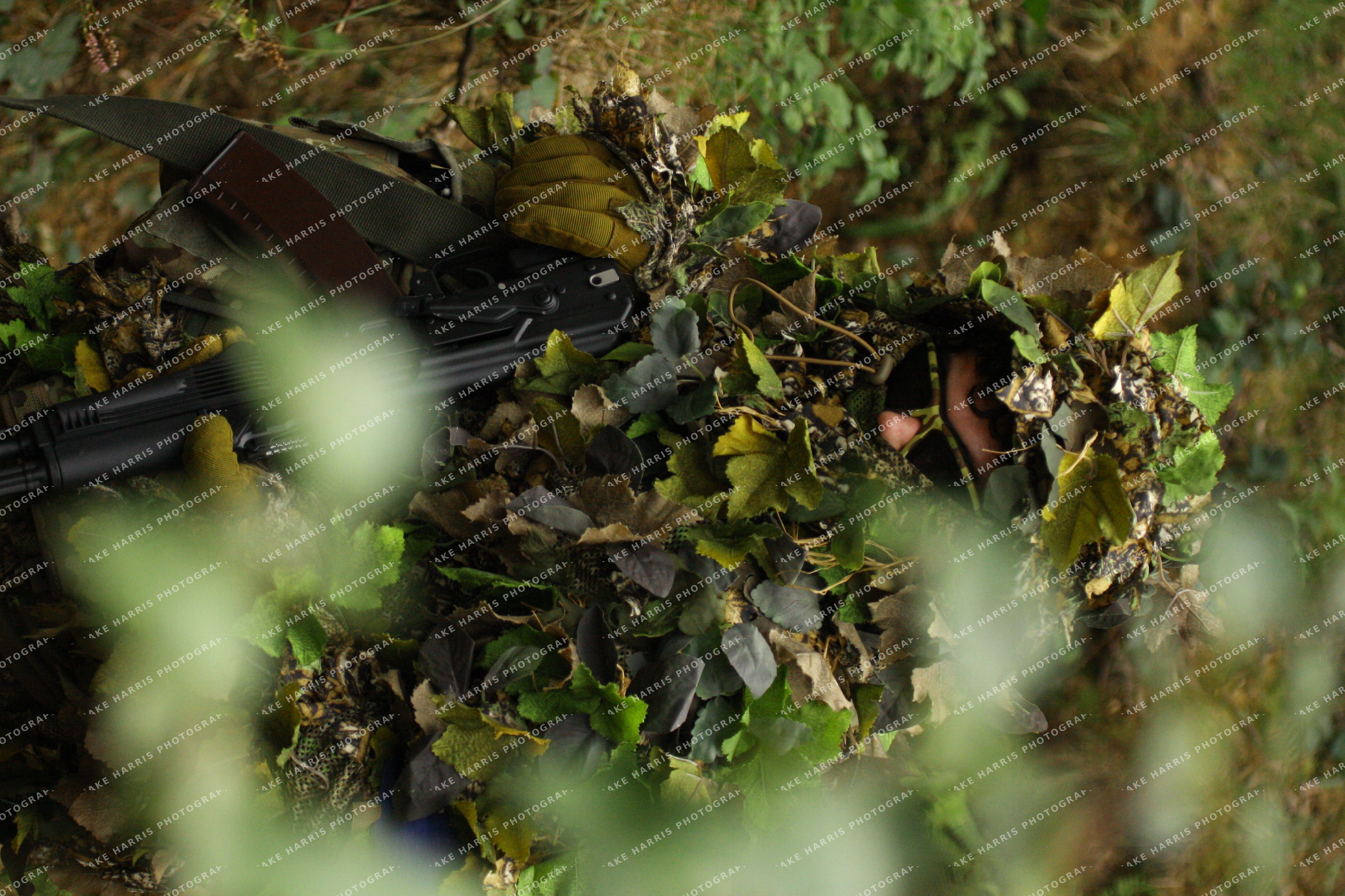 JH-photo-20260913-ce4608a9f3a6.jpeg